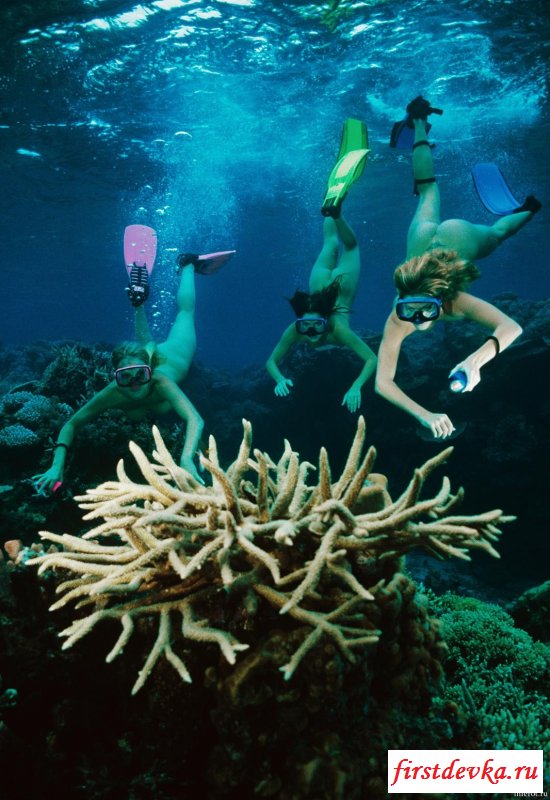 Голышом под воду (18 фото)