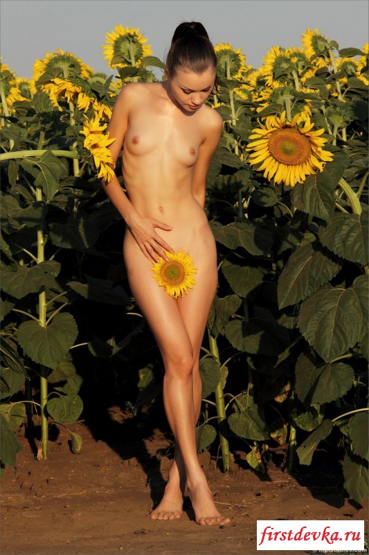 Деваха снимает платье среди подсолнухов