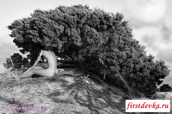 Эротические фотографии одного профессионала (36 фотографий)